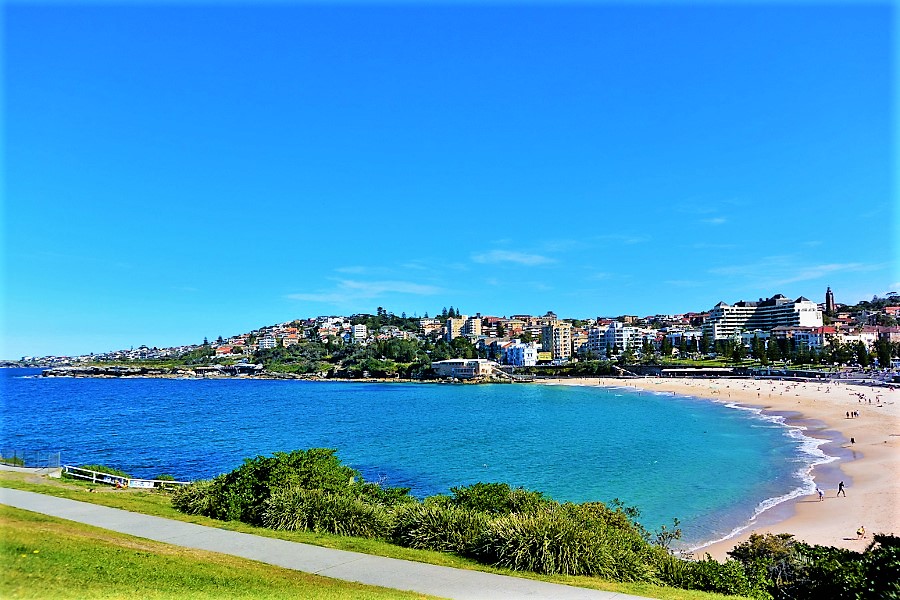 coogee beach