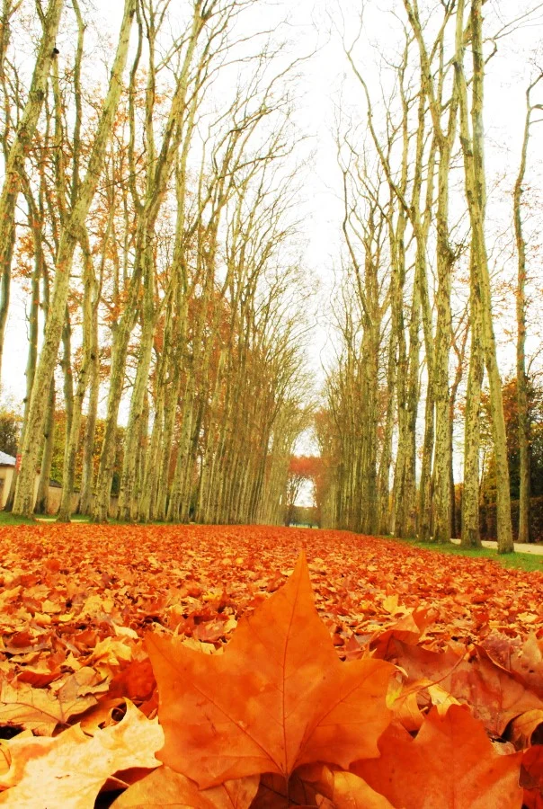 fall