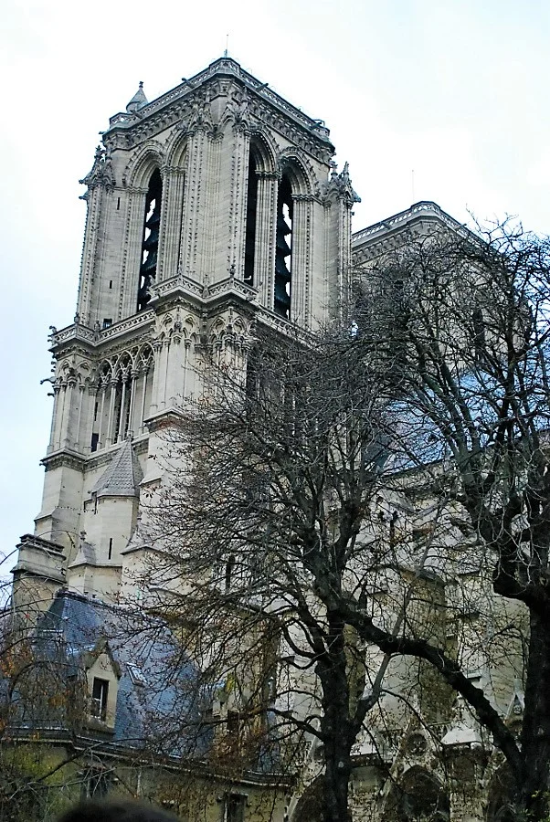 fall at Cathédrale Notre Dame de Paris