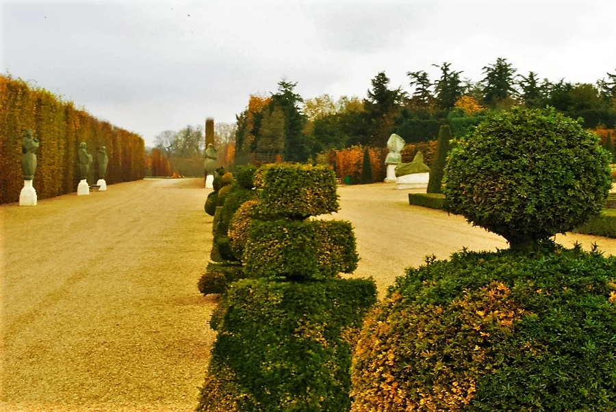 turning of the leaves