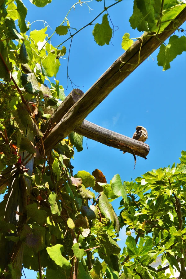 DSC_4673 - edit - small.jpg