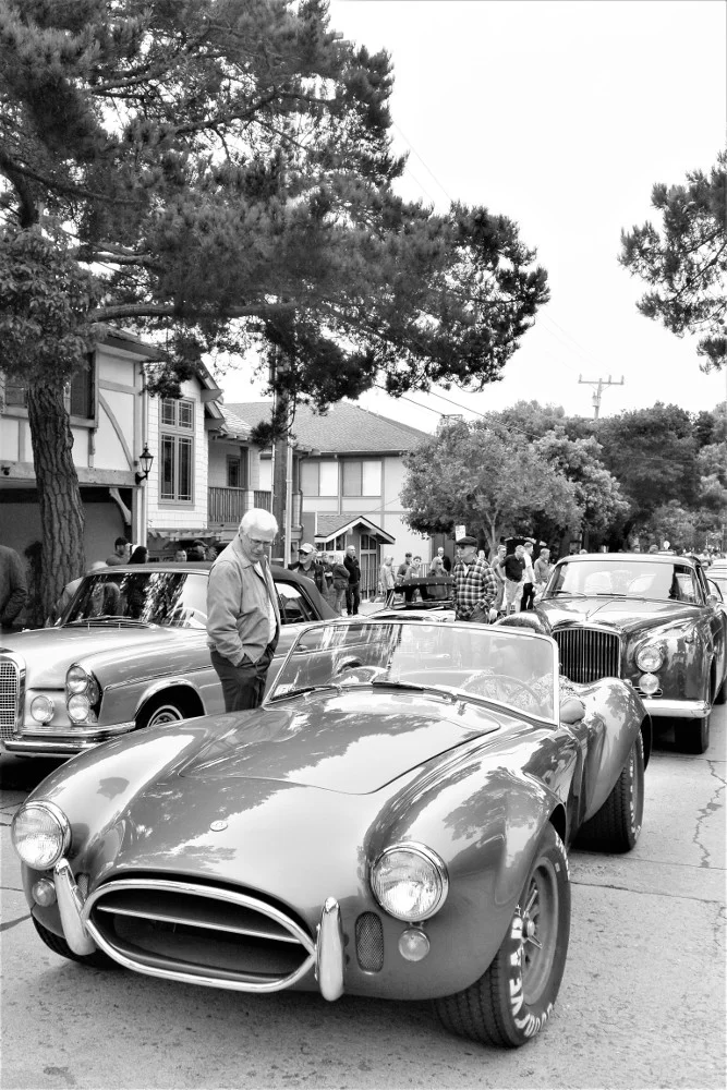 DSC_5098 - bw.jpg