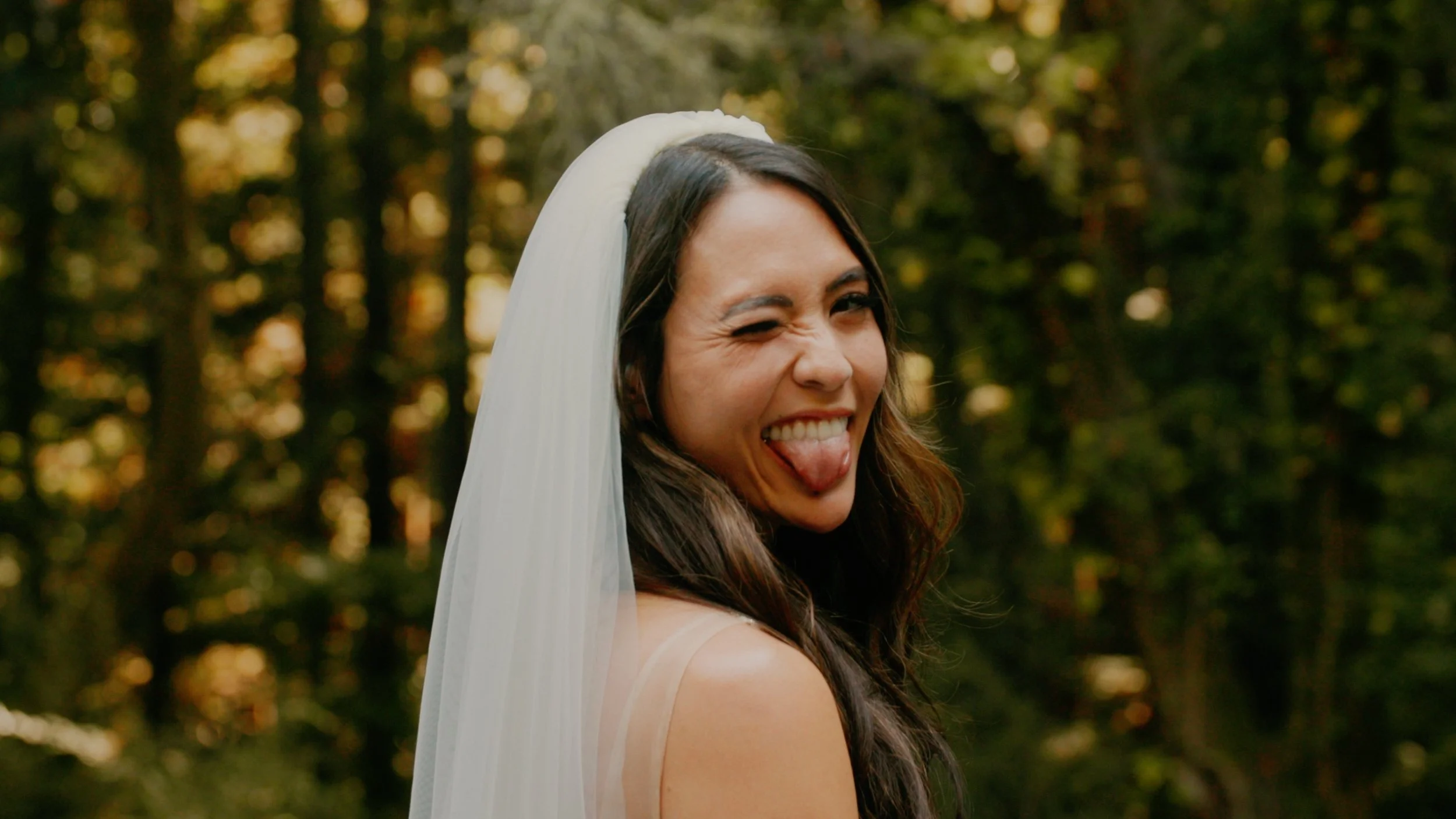 PREVIEW FRAME 2.jpg