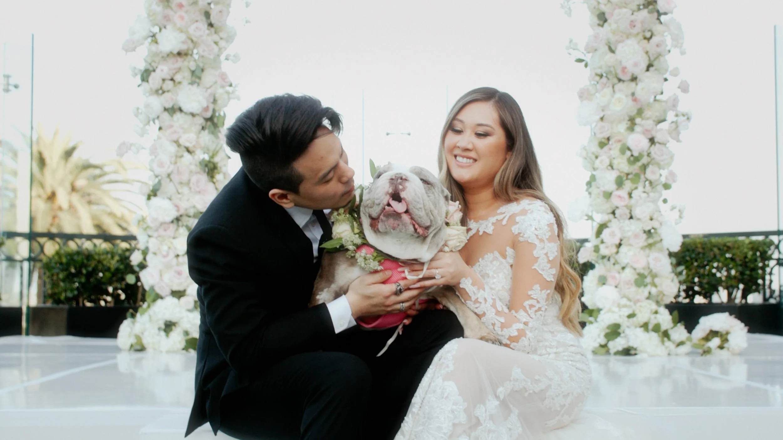 Preview frame 11.jpg