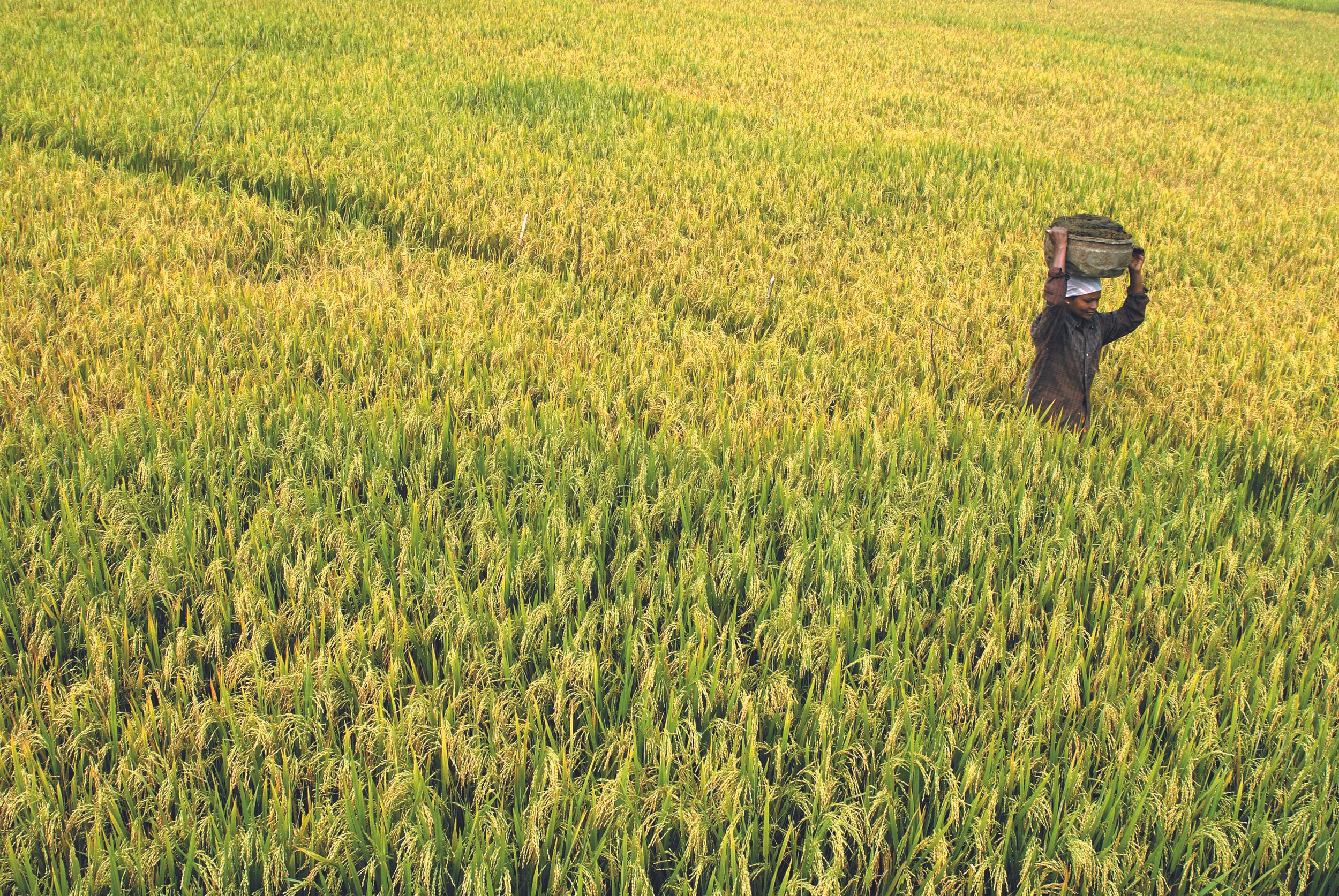 Improving sanitation in rural India  