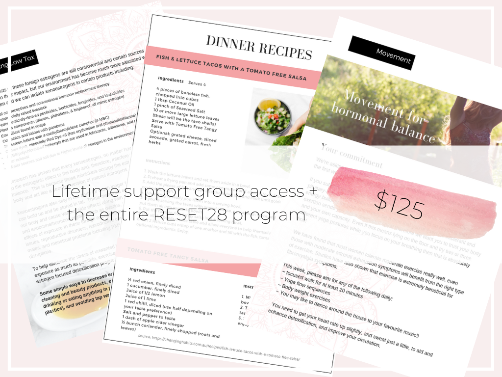 Lifetime support group access + the entire RESET28 program-3.png