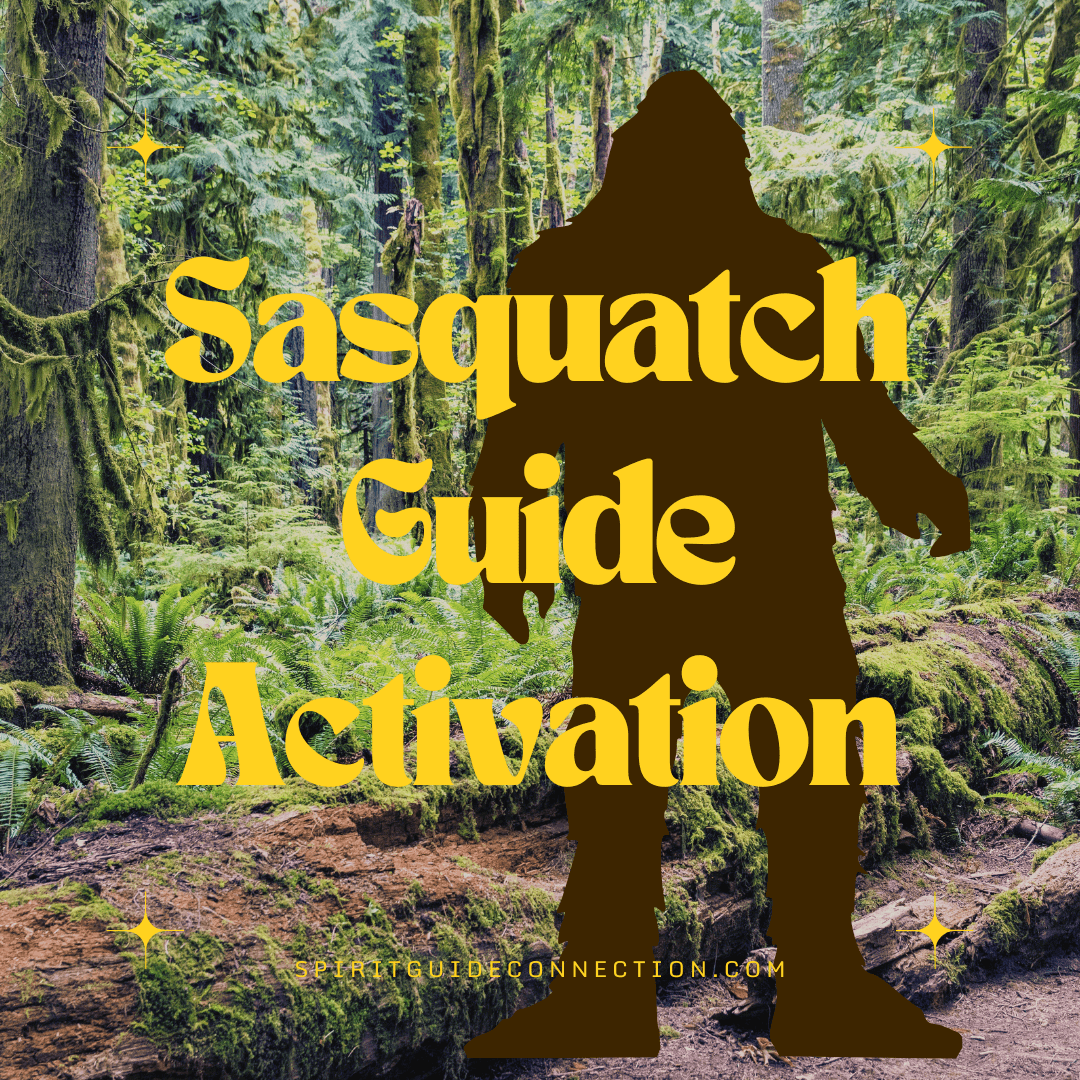 Sasquatch Guide Activation (Written PDF)