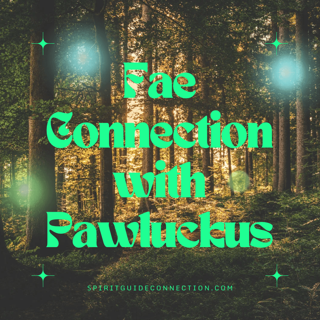 Image of a forest with several trees and canopy cover with text overlay Fae Connection with Pawluckus