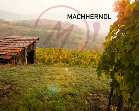 Machherndl_tmb.jpg