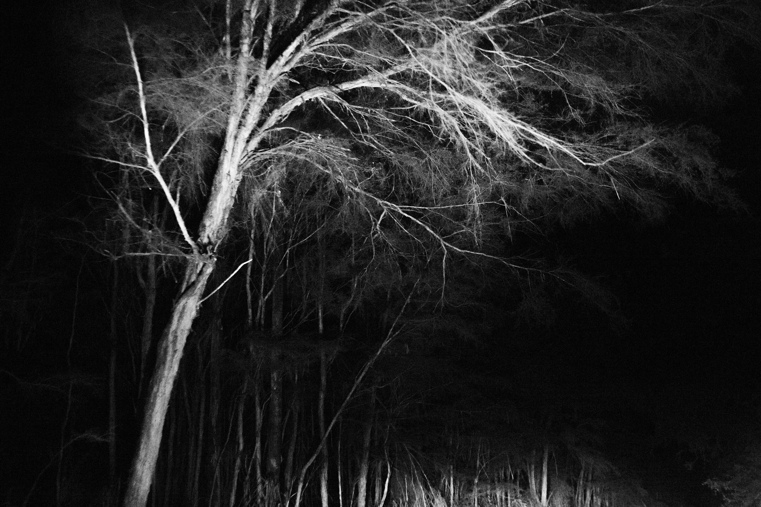 untitled_04.jpg