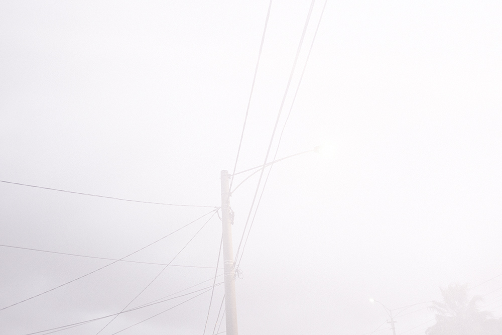_DSF4366_web.jpg