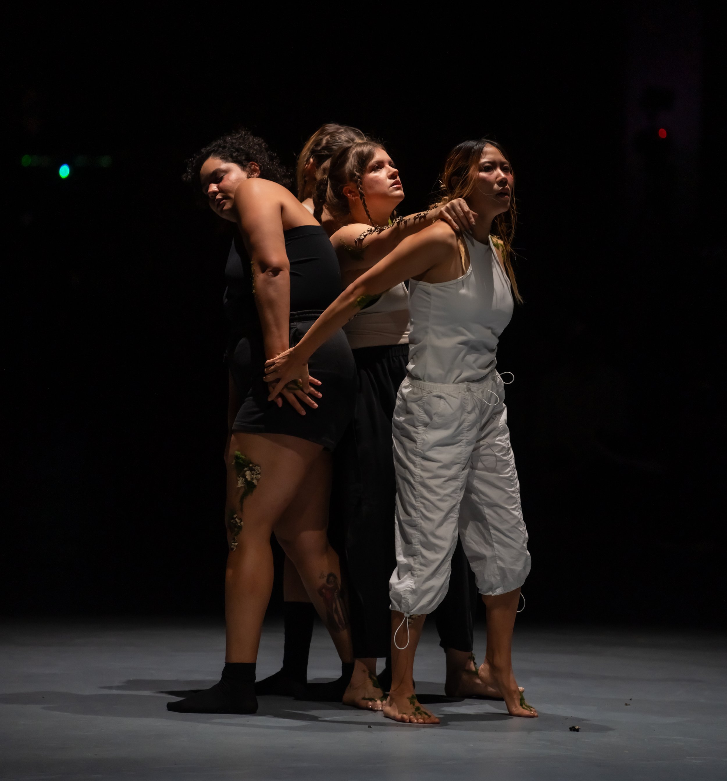 MOCA_10.26.24-303.jpg