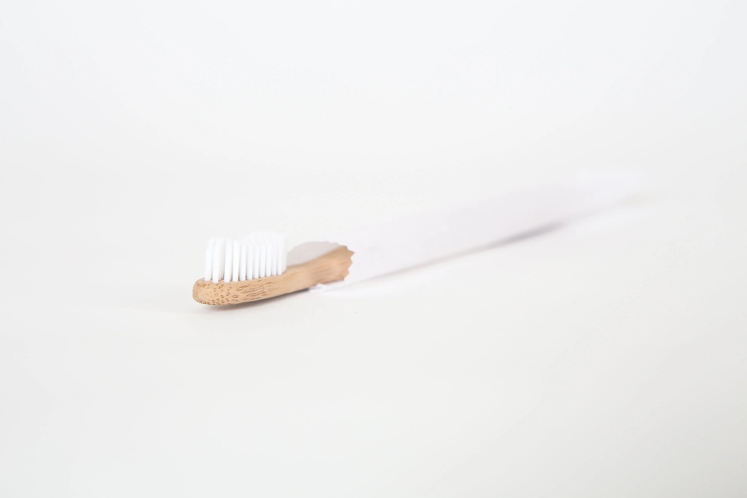 brush-1.jpg