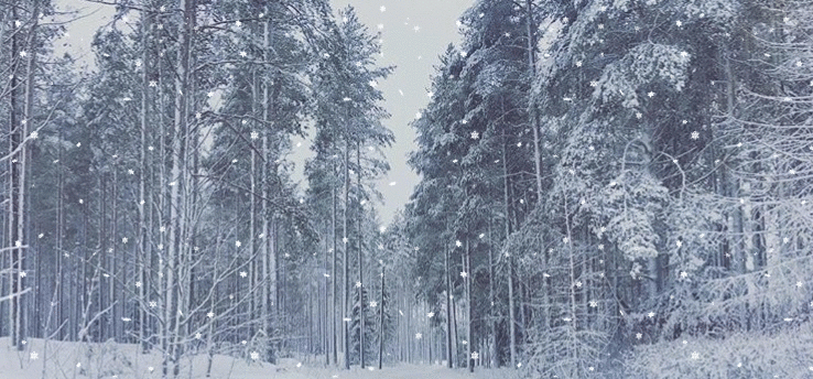 Merry Christmas to all my wonderful customers!