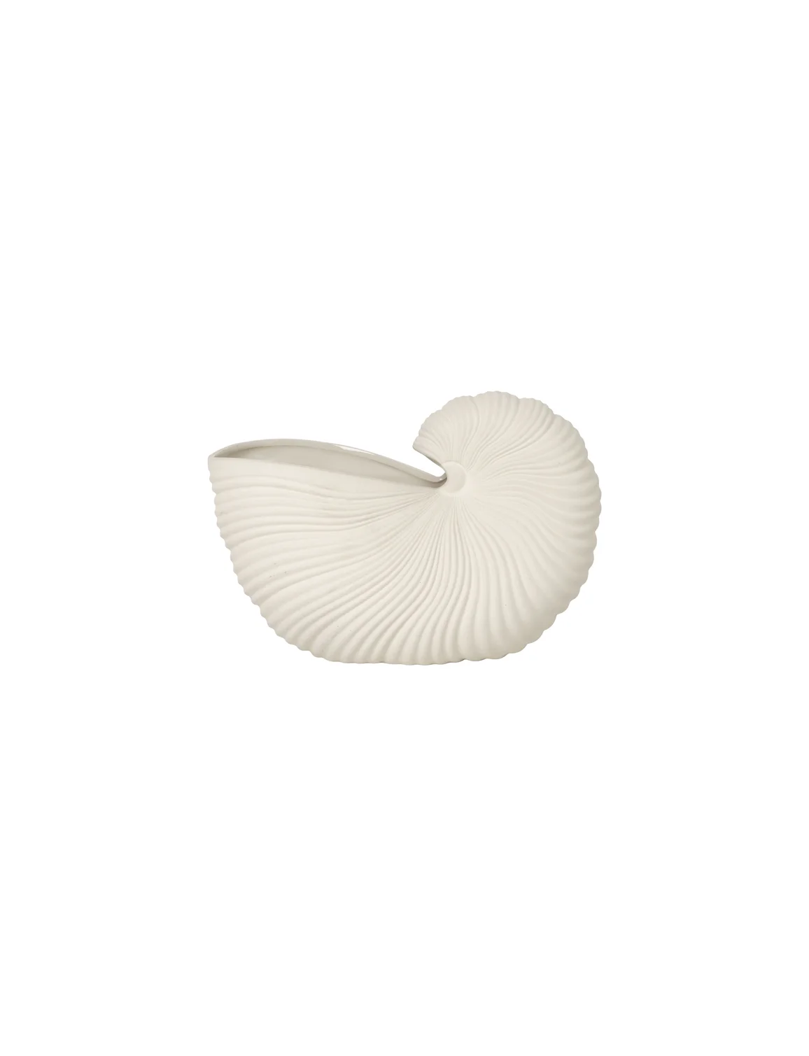 Shell-pot.jpg