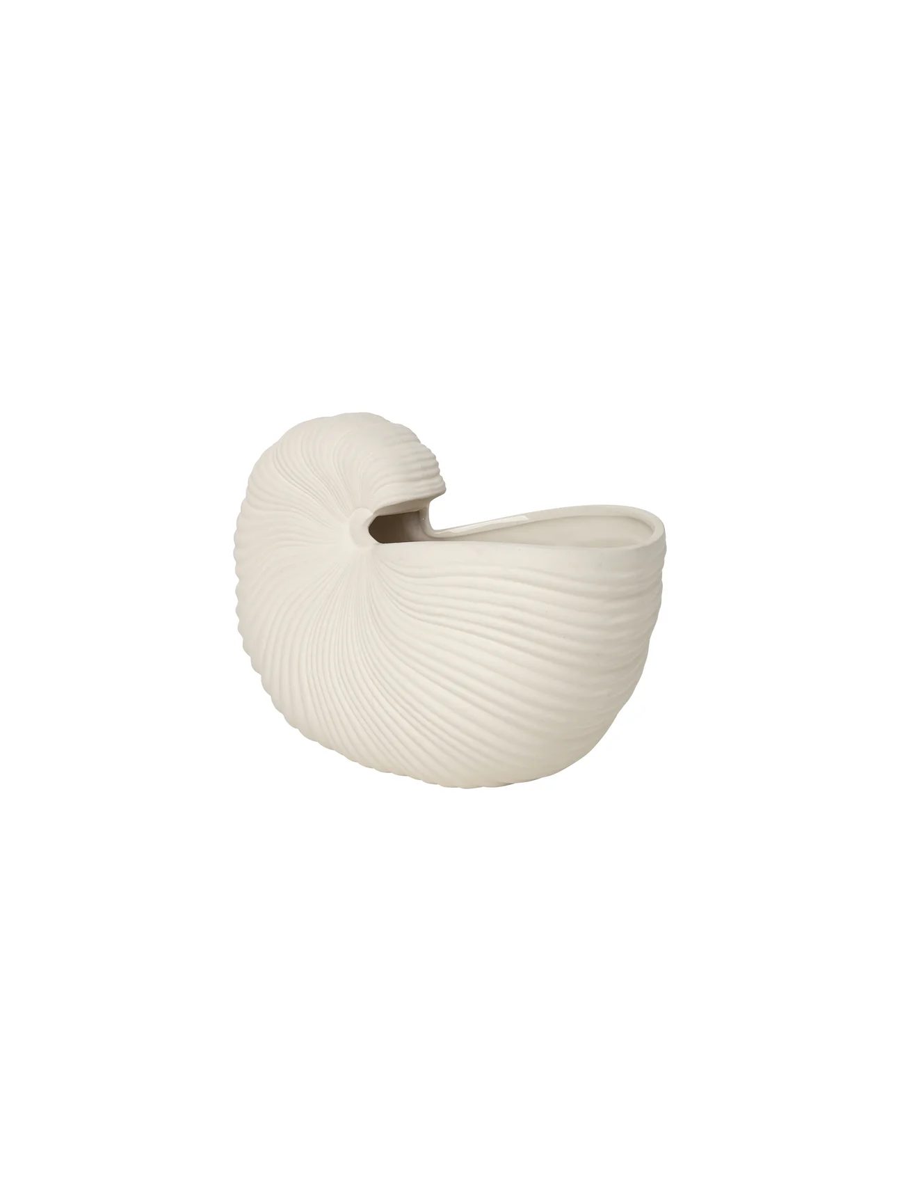 Shell-pot-2.jpg