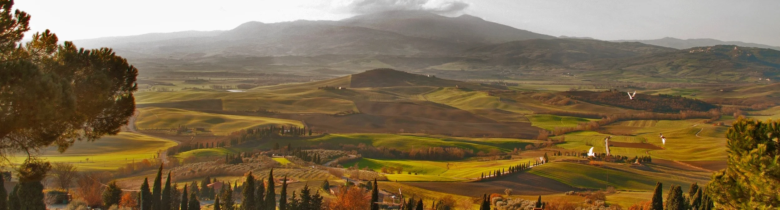 Linnell Pienza panorama.jpg