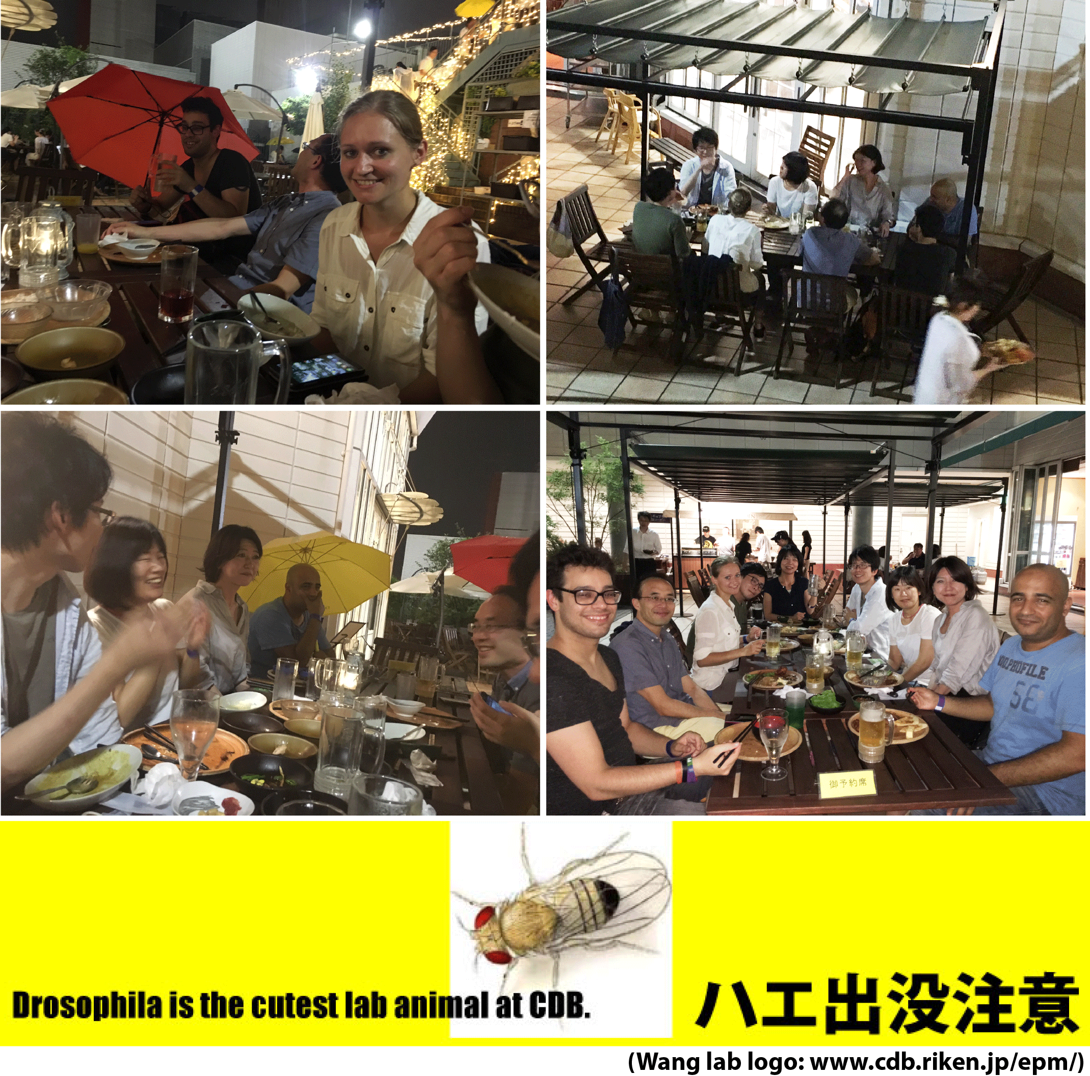 Beer-garden-pic.gif