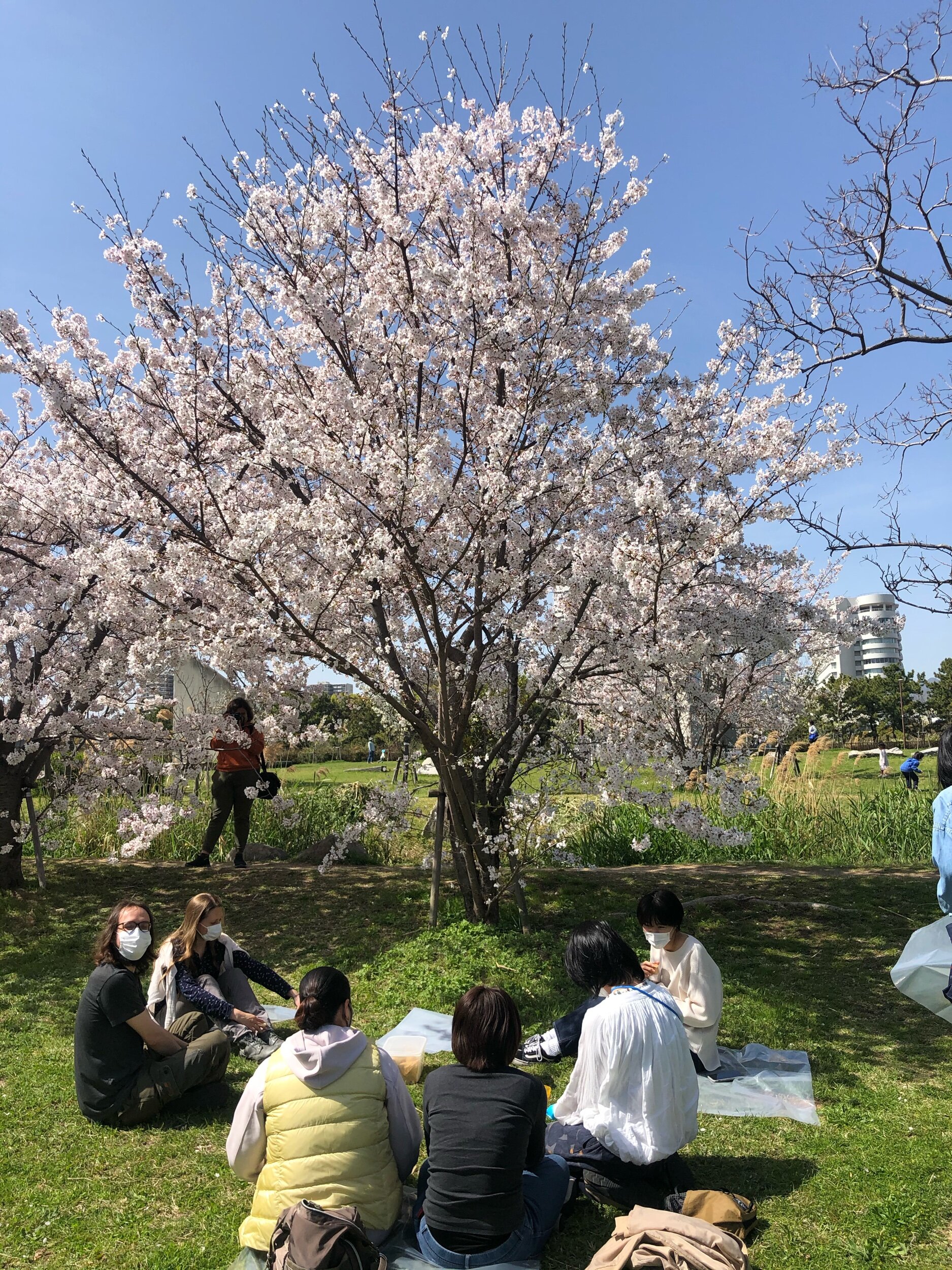 IMG_4316.jpeg