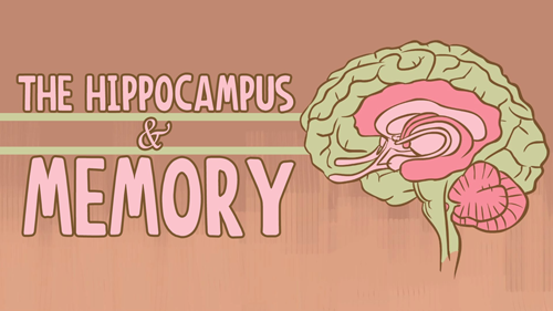 a-ted-ed-animation-describing-th.png