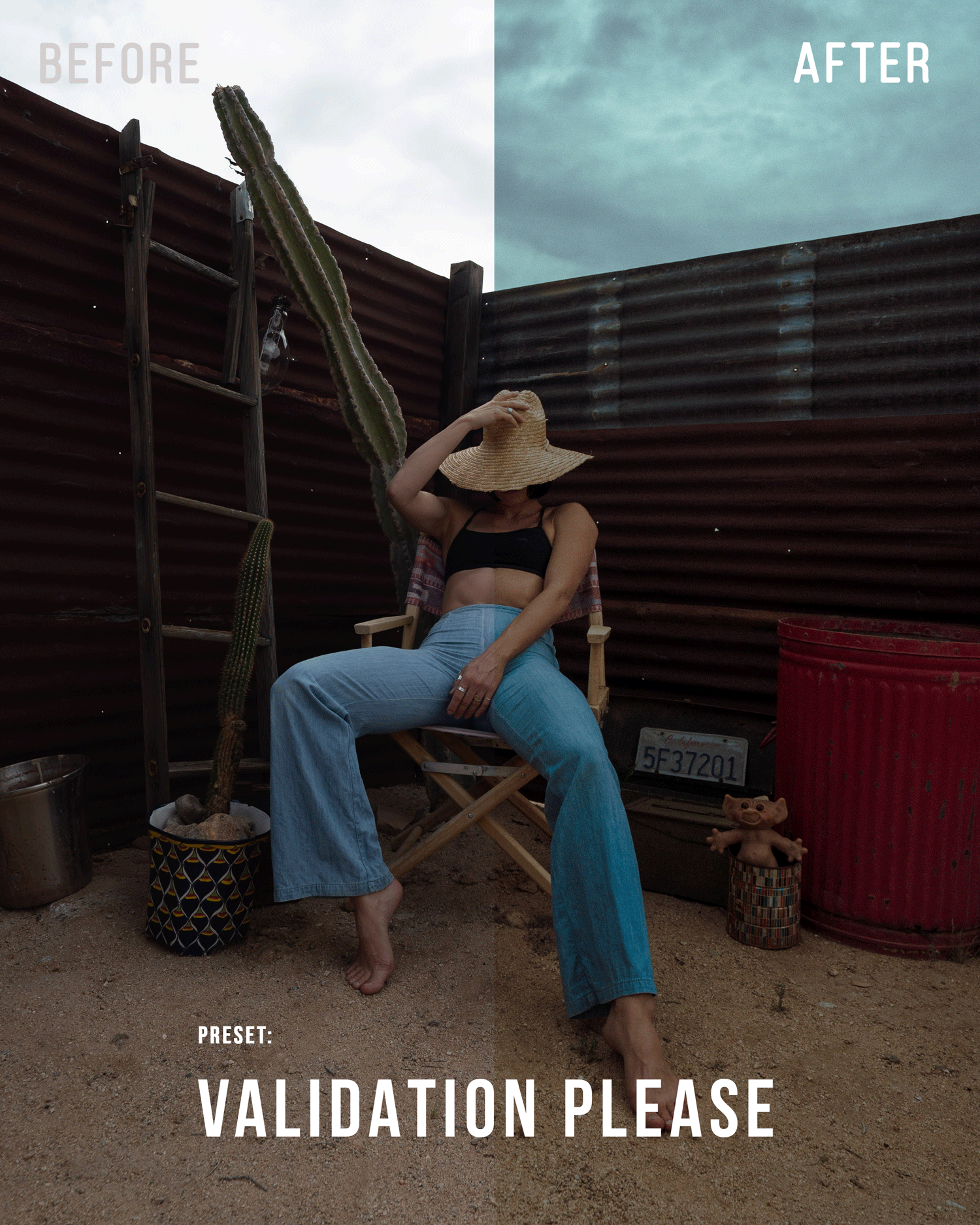 validationplease.png