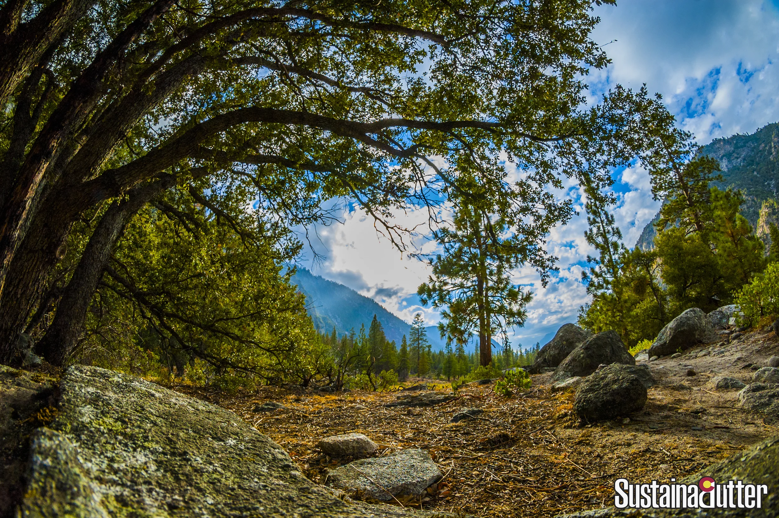 Kings Canyon National Park