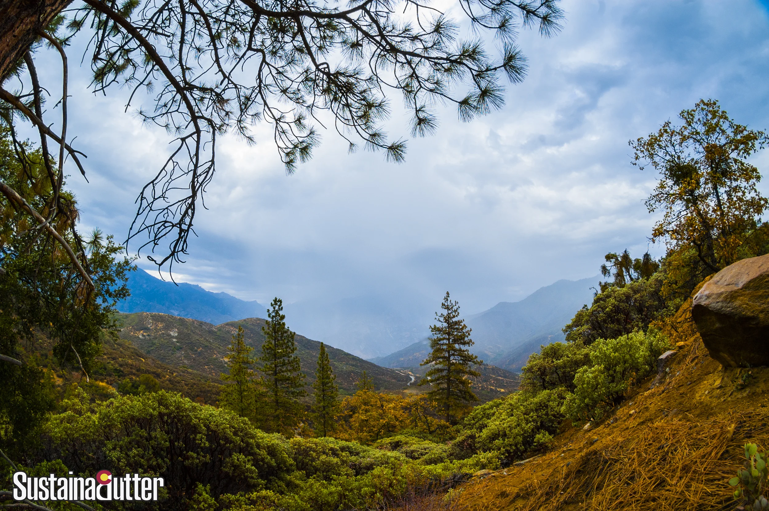 Kings Canyon National Park Overlook
