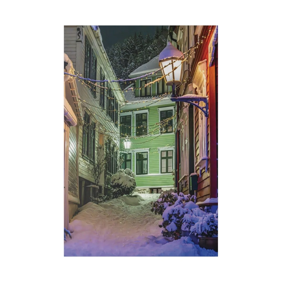 cf50dc6052af7d99d218a9dd2d4a1b3a