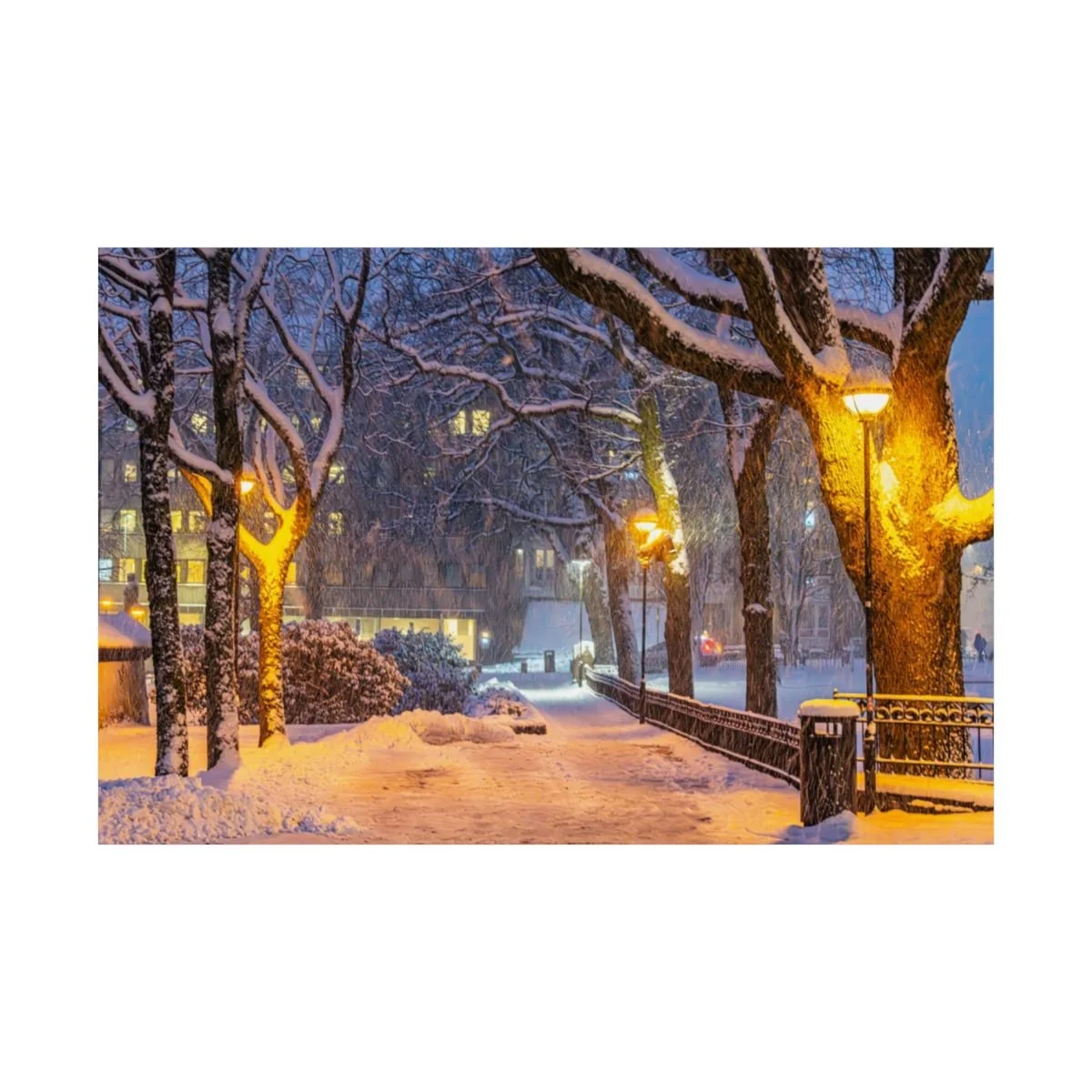 00e51d246e97f6ac7f5dcfdf2d3479d0