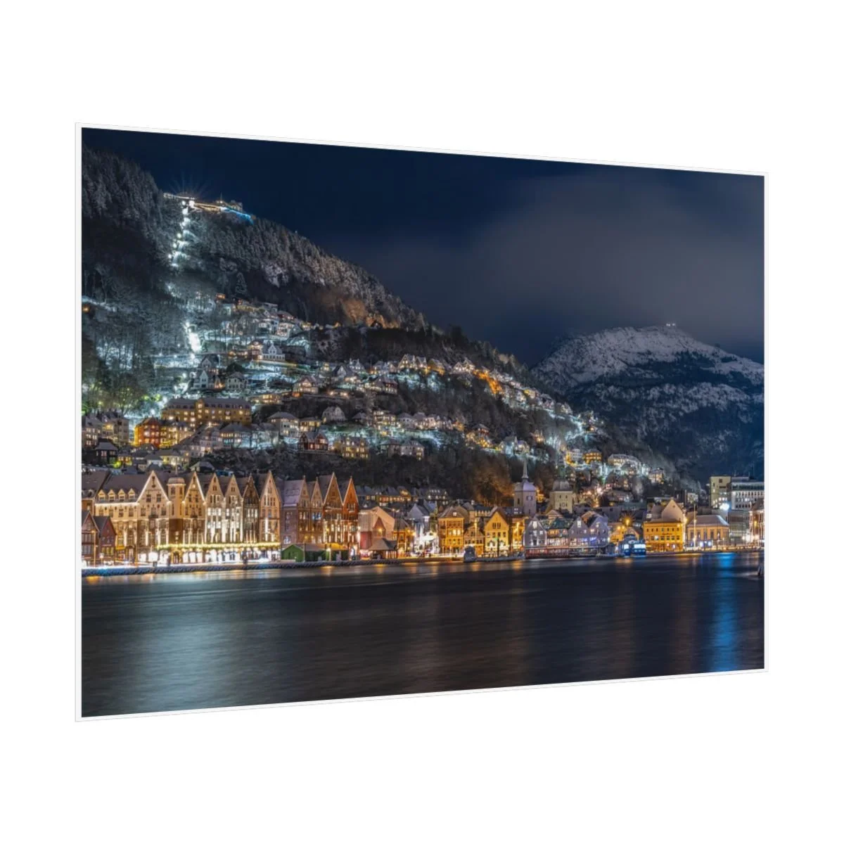 84c2c0cbb0c2069a56b36365b1f79953