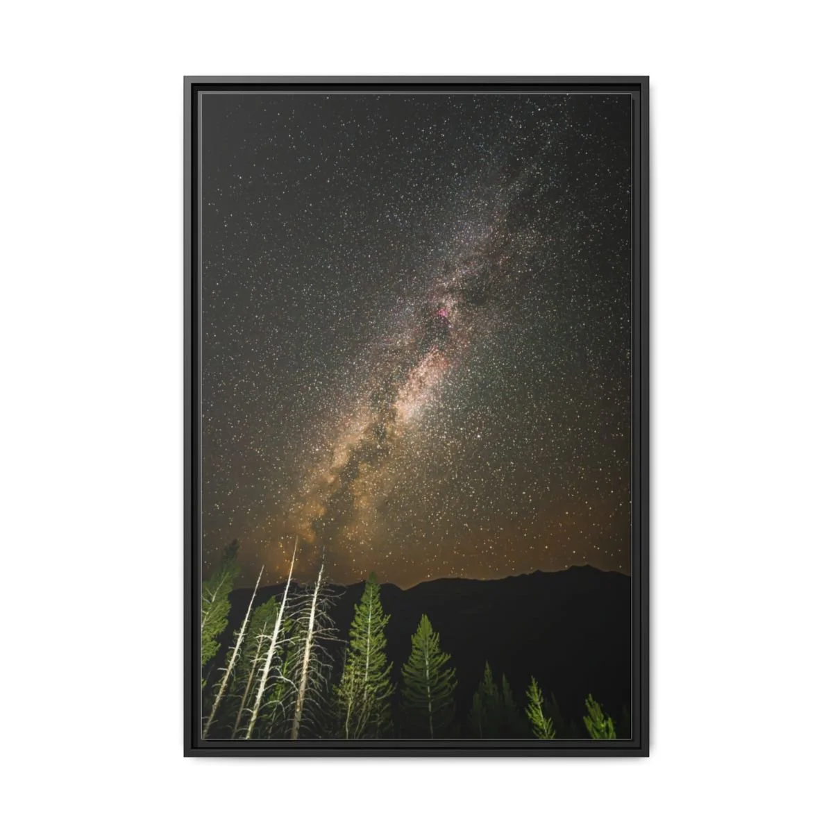 90aa0e9f1ee9529bba3c45b4951f7397