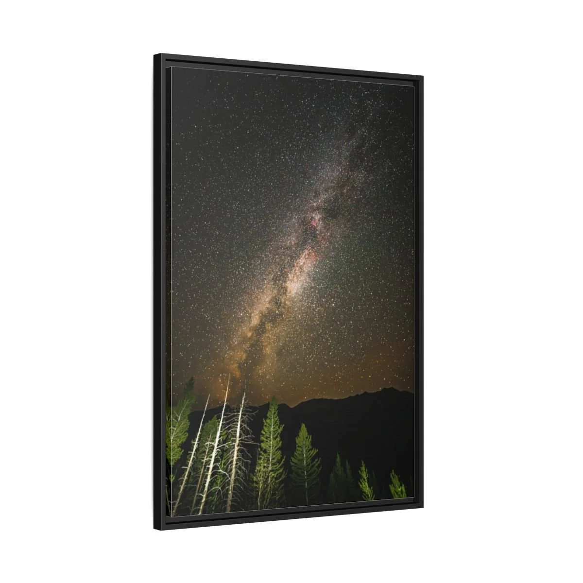 ba122bf3f72870eb6350179246530e15