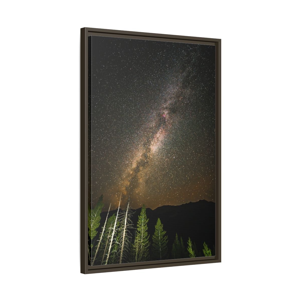 28168ef5771365402f6f4635fd45b201