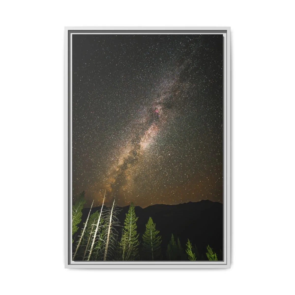 991fb970743833789024fcd0079df88b