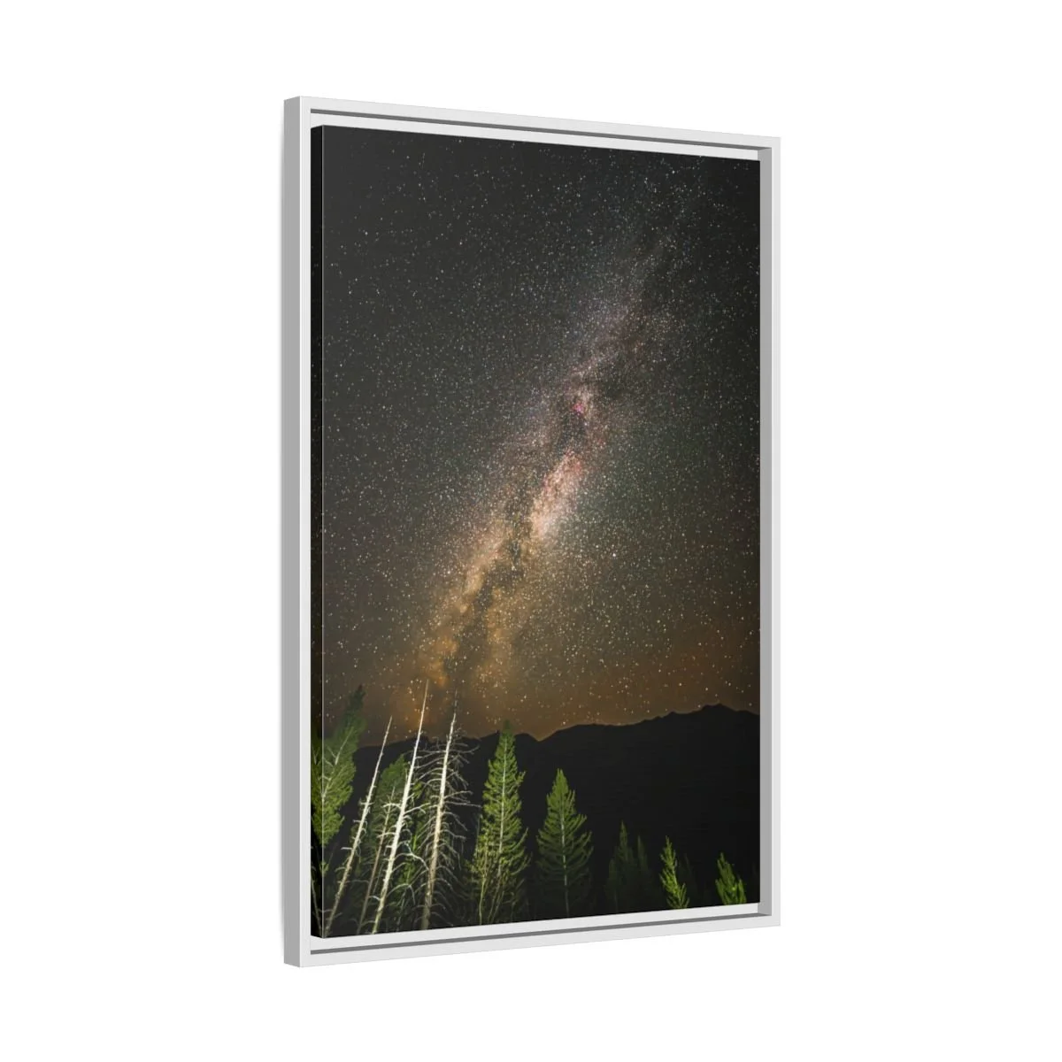 be24b94c79e784c691bd7a6f1cc1fedd