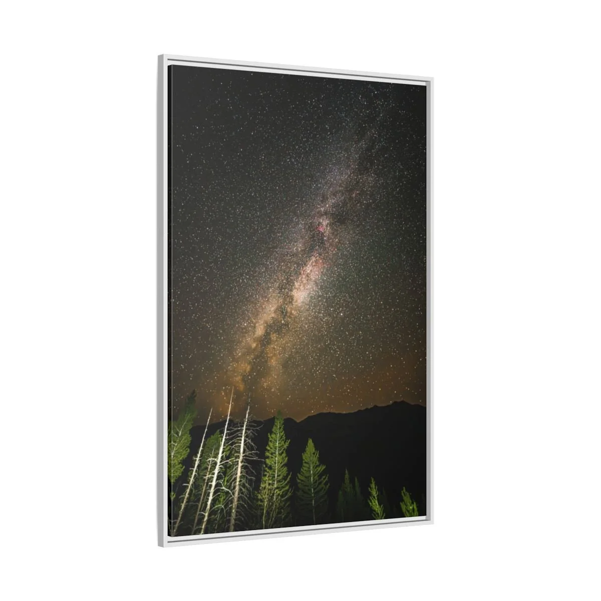 0a5813096e7ba7e195c258d4eb7447ea