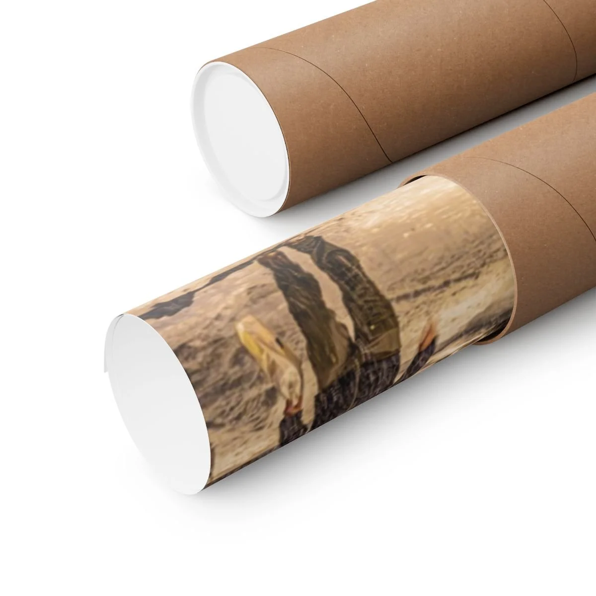 b28f3d6e225975131918d8a4f7f38158