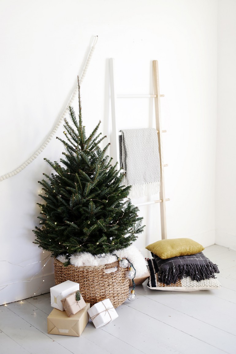 Source: http://themerrythought.com/diy/simple-christmas-tree-display/