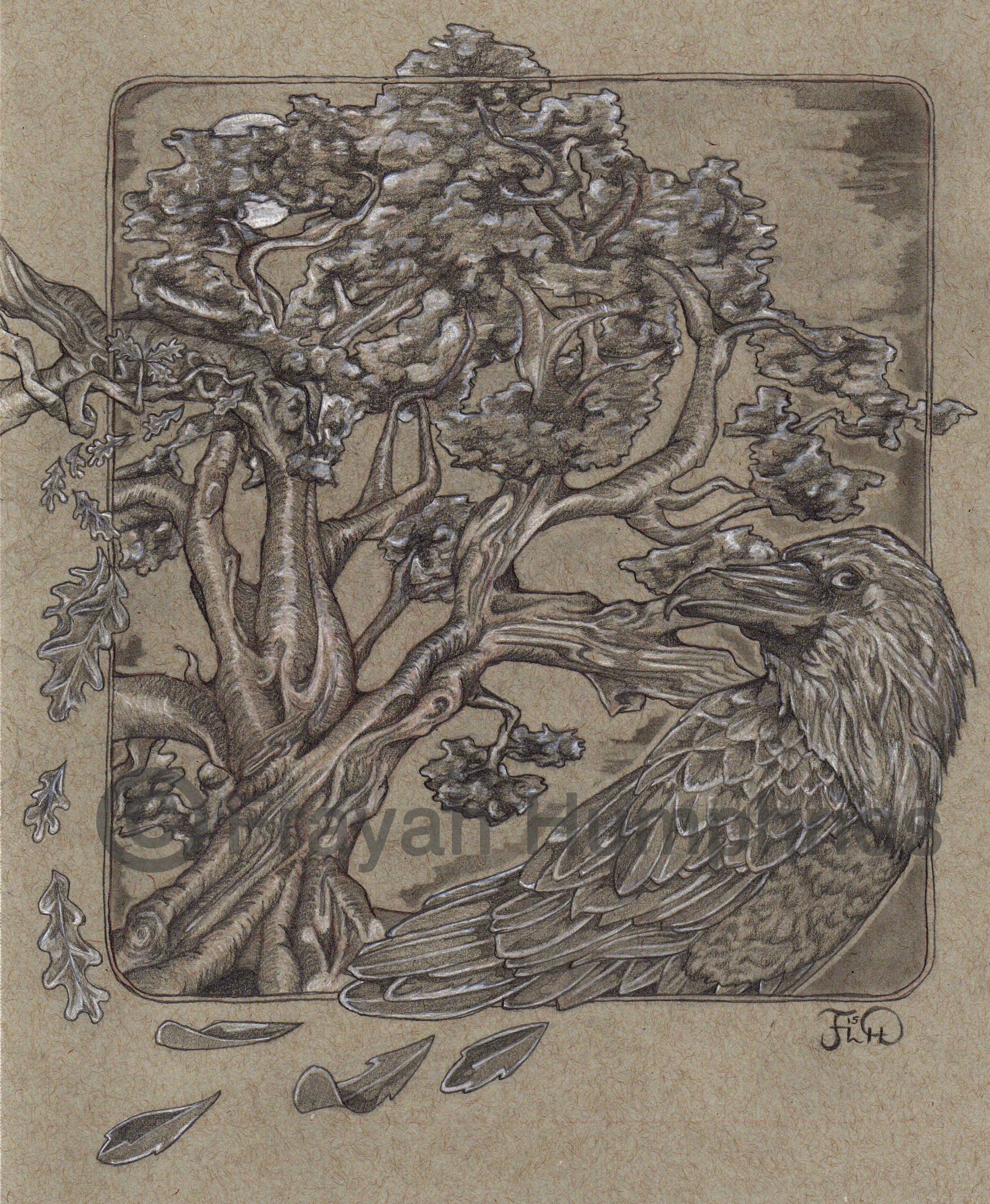 Oak Tree and Raven