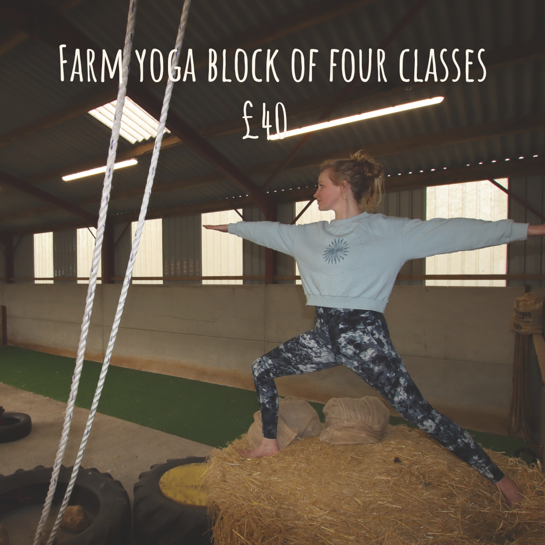 Farm yoga block.png