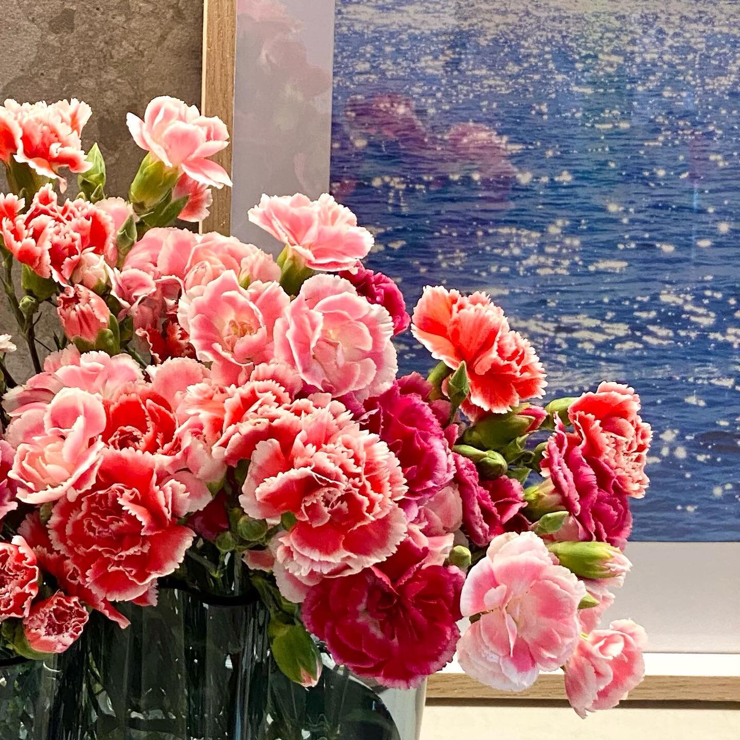 #carnations #pinkandred #pinkflowers #stilllife #interiorstyling #summervibes #propstyling