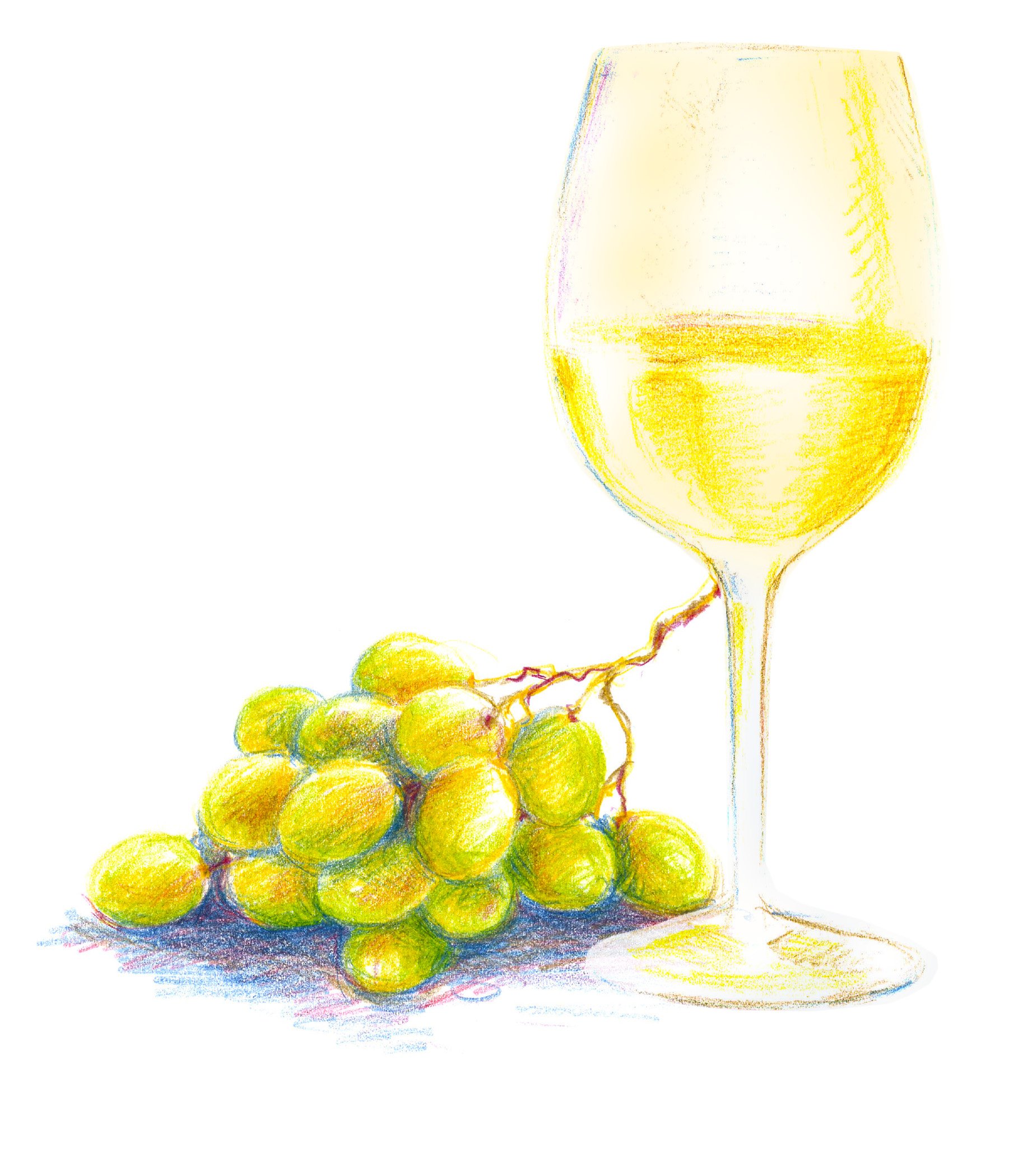 LG fridge illos_AJensen-wine_grapes_v1.jpg