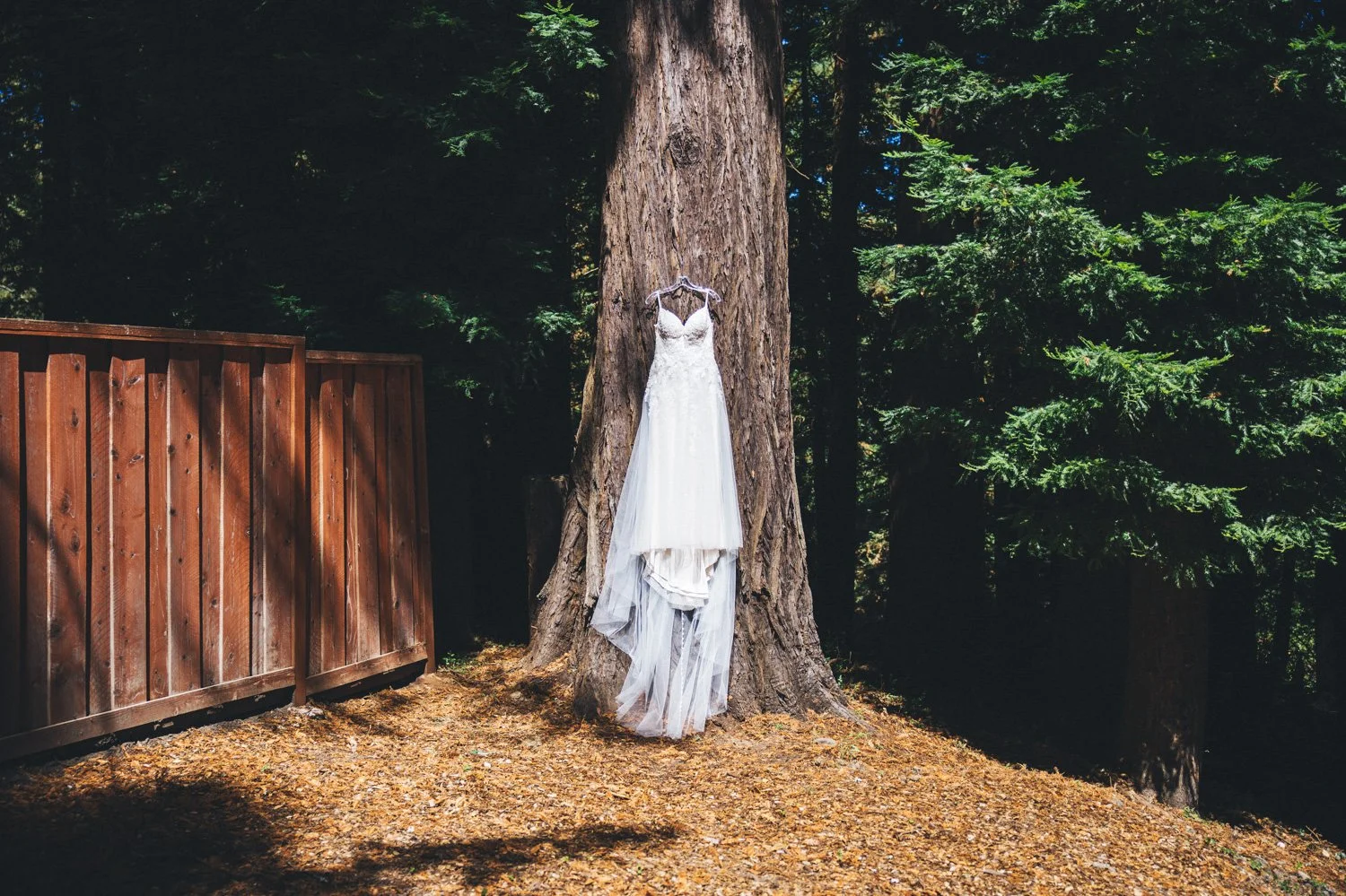 Hailey & Ye - Wedding (6 of 100).jpg