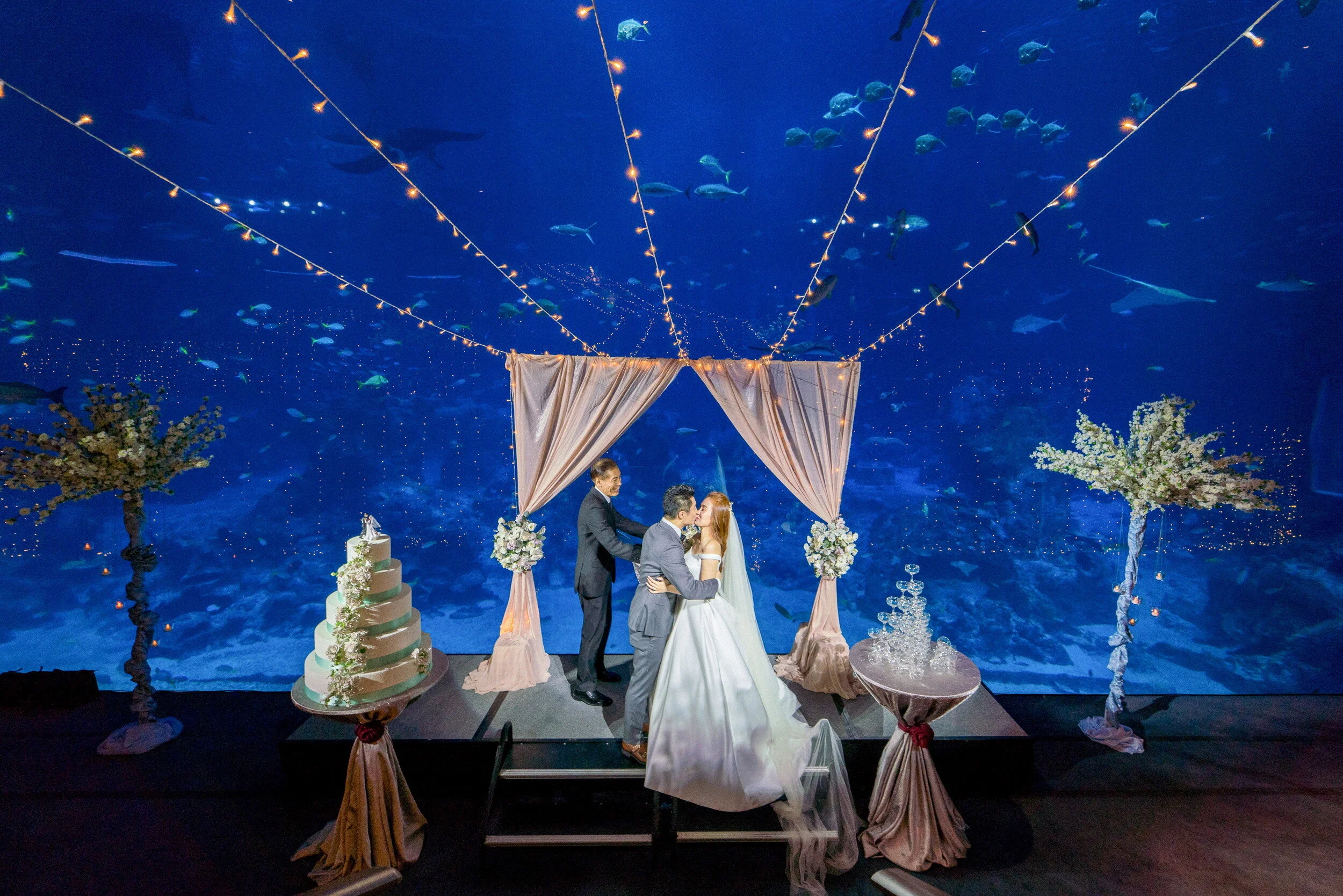Aquarium themed wedding | Beachweddingtips.com Aquarium themed wedding | Beachweddingtips.com