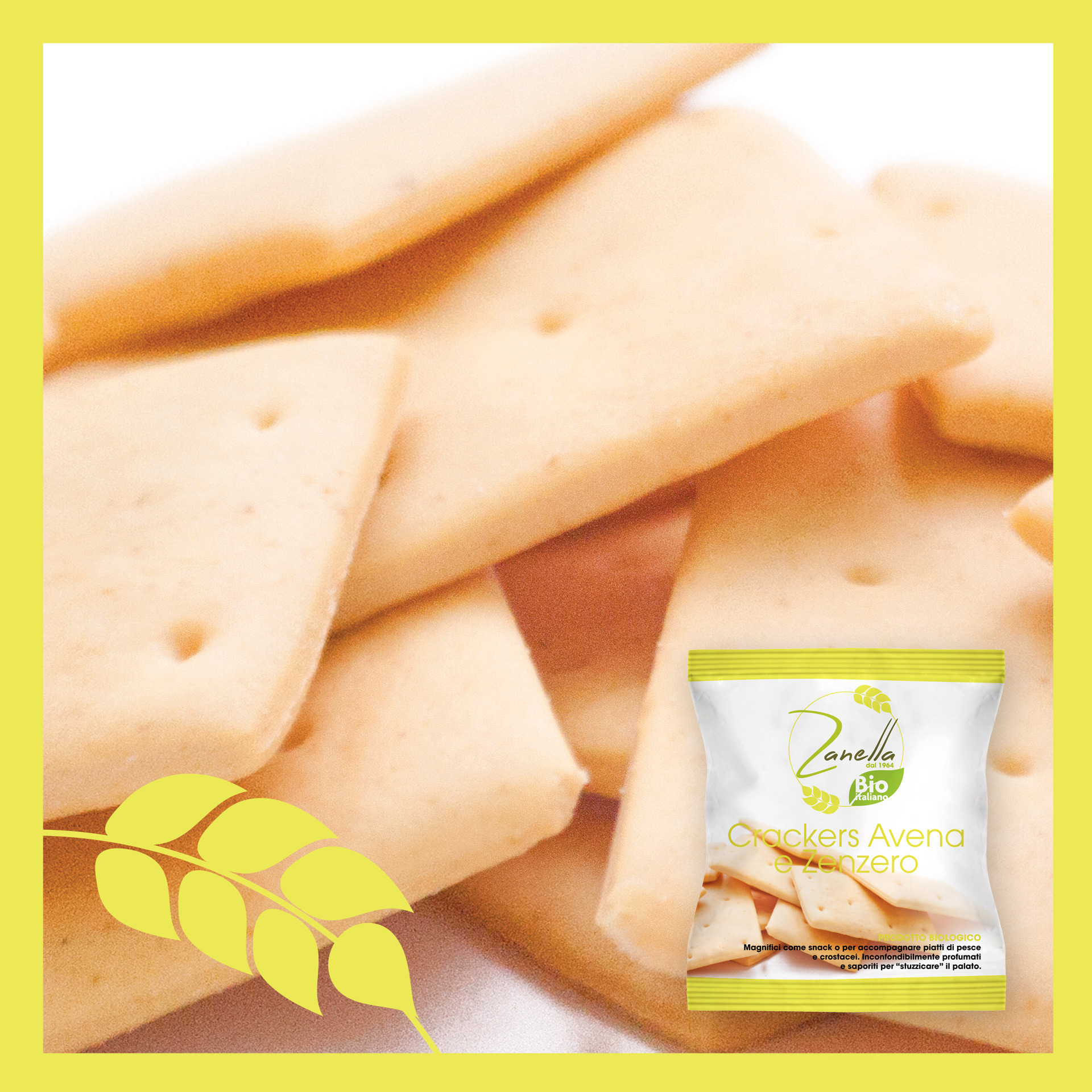 Crackers con Avena e Zenzero