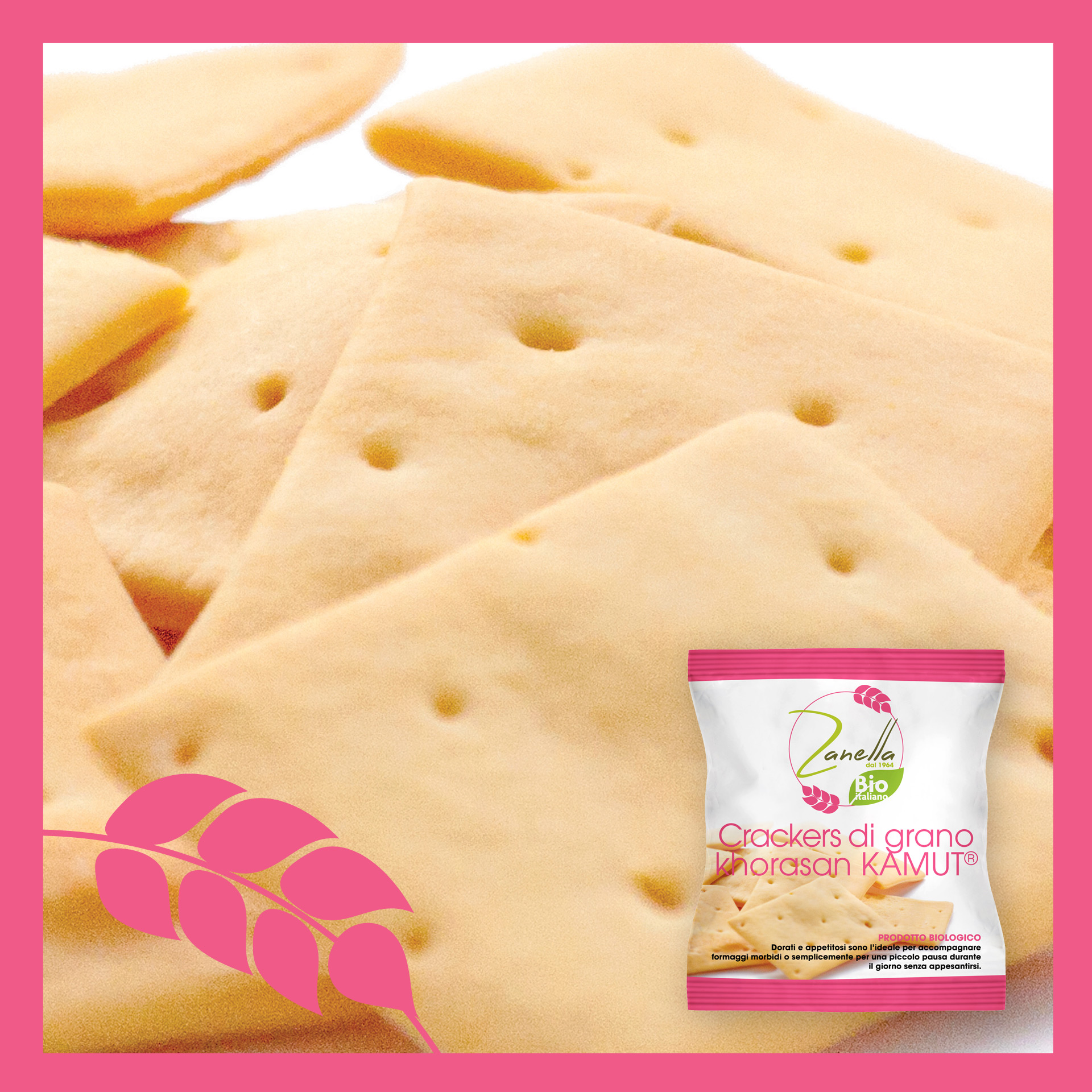 Crackers di grano khorasan Kamut®