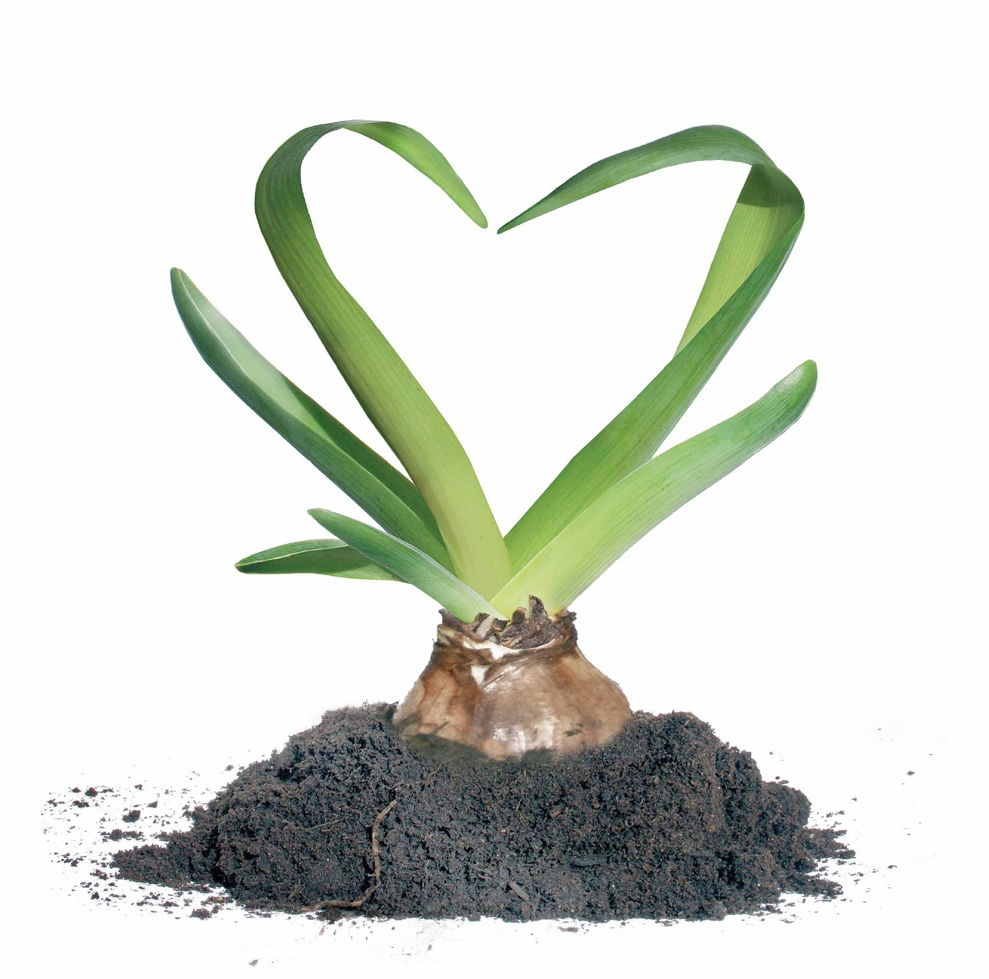 BIOLIFE-BOLZANO AI BLOCCHI DI PARTENZA