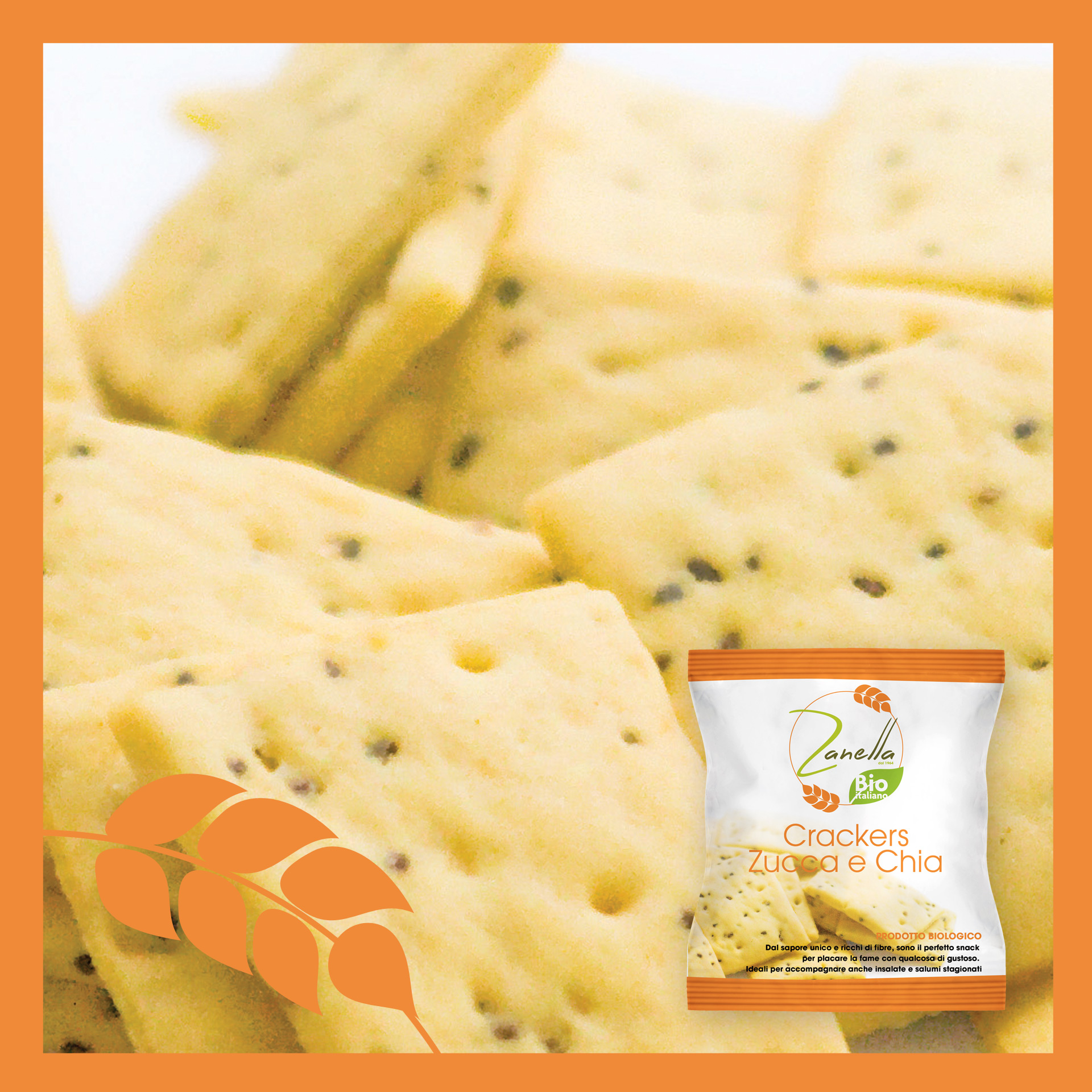 Crackers Zucca e Chia