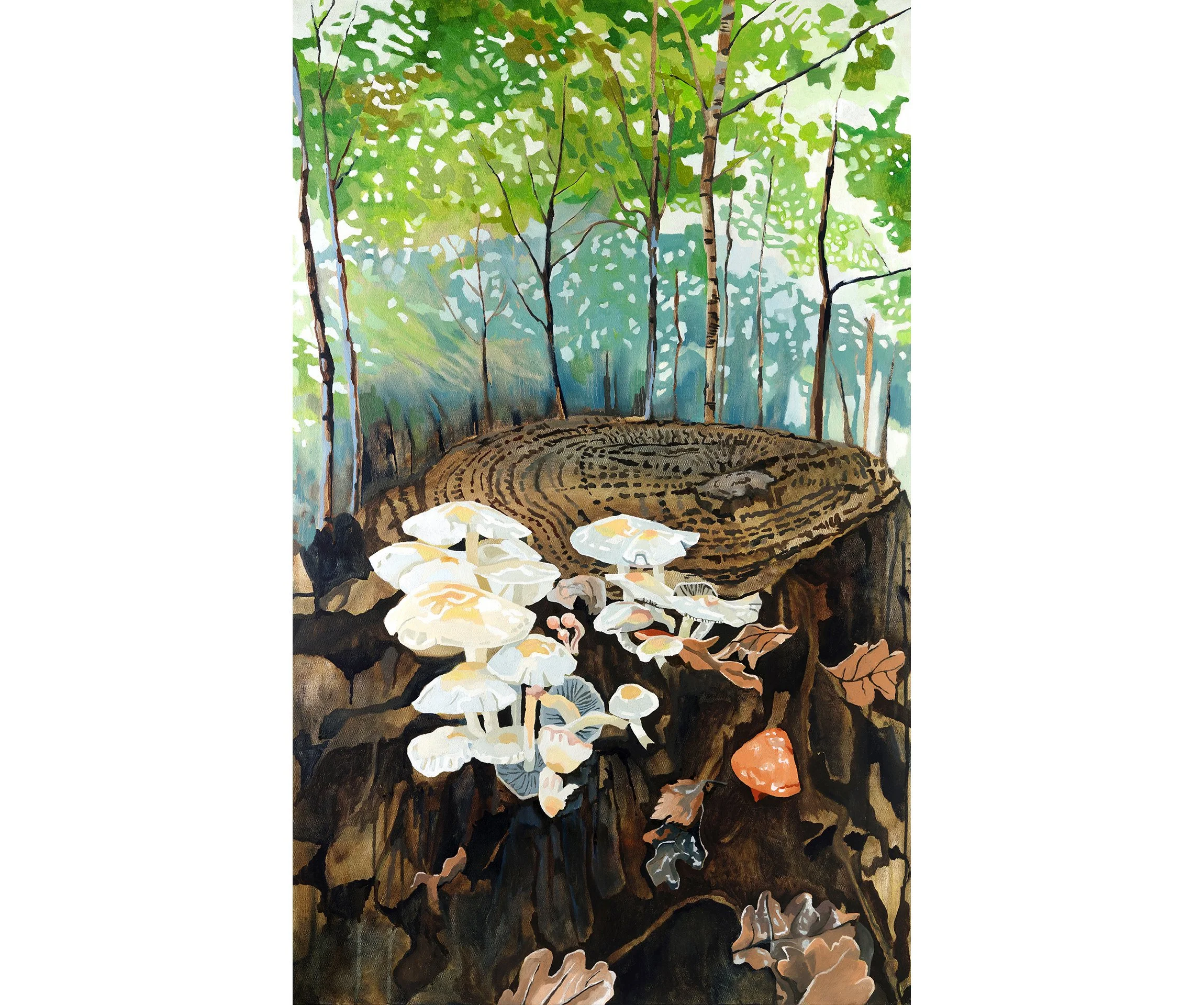WEB Woodland renewal, Moor Barton.jpg