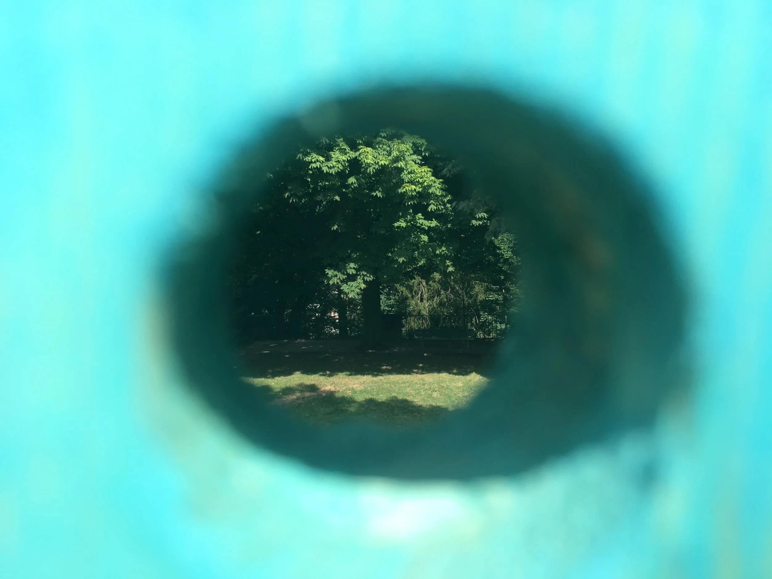  Blick durchs Loch: oh ja, ein Park mit schönen Bäumen! 